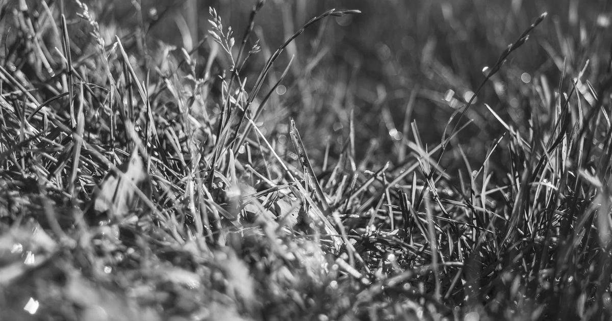 Section image Section image
